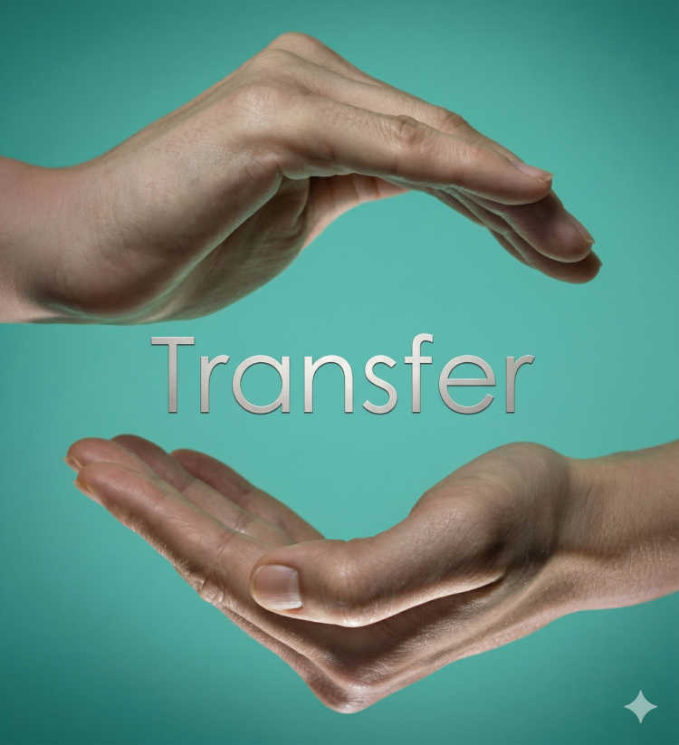 Transfer